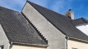 Pannendak verwerkt met lood